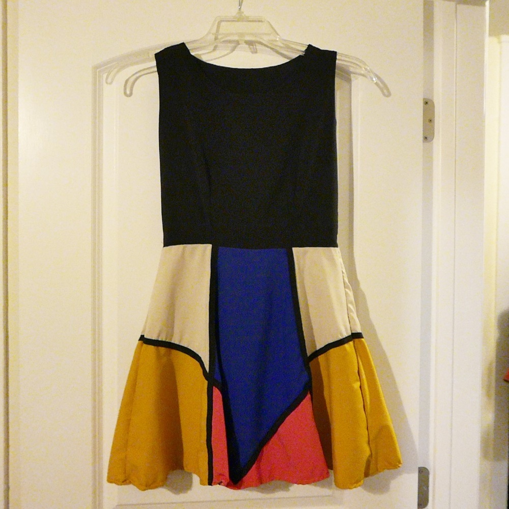Skater Color Block Dress